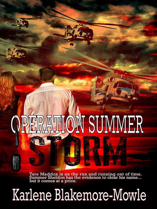 Title details for Operation Summer Storm by Karly Blakemore-Mowle - Available